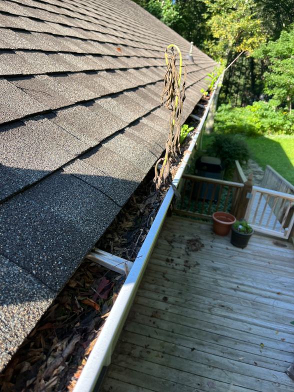 Gutter Cleaning in Todd, NC